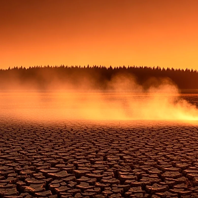 Nordic Heatwave and Arctic Warming Contribute to Record European Wildfires