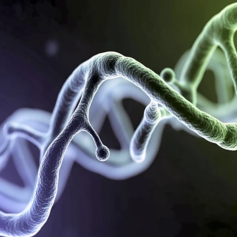 UIC Researchers Develop Bacteria-Inspired Anti-Cancer Therapy