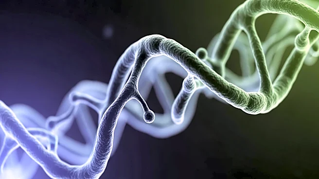 UIC Researchers Develop Bacteria-Inspired Anti-Cancer Therapy