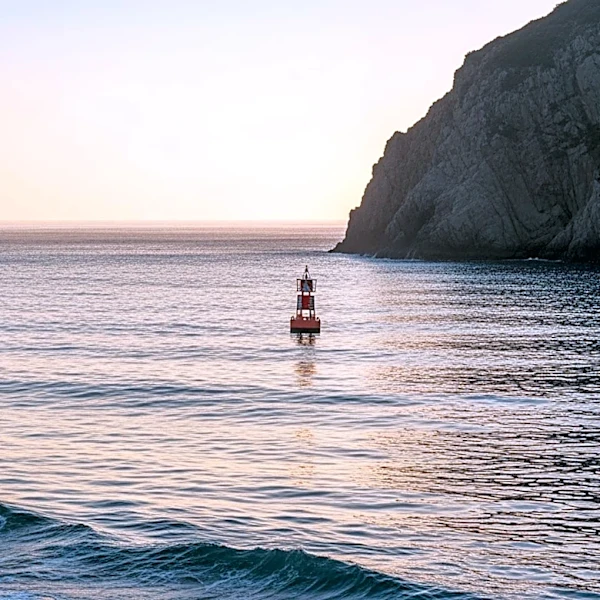 Humanitarian Groups Urge Corridor Through Strait of Hormuz Amid Aid Disruptions