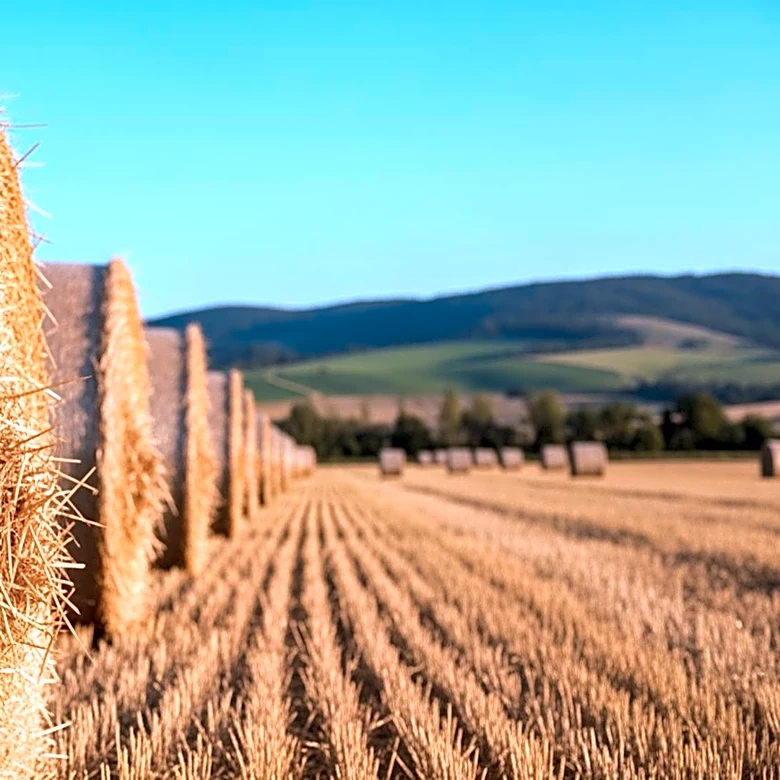 Agricultural Straw as a Renewable Energy Source to Cut Greenhouse Gas Emissions
