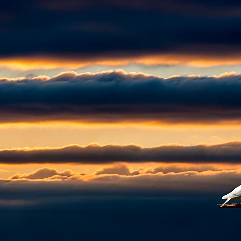 President Trump Extends Ceasefire with Iran Amid Rising Tensions