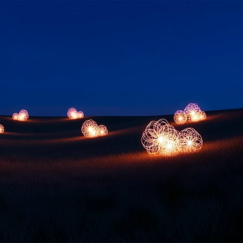 Bruce Munro Unveils New Light Installation in Regional Australia to Boost Tourism