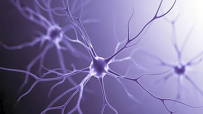 Olfactory Receptor Mapping Offers New Insights for Loss of Smell Therapies