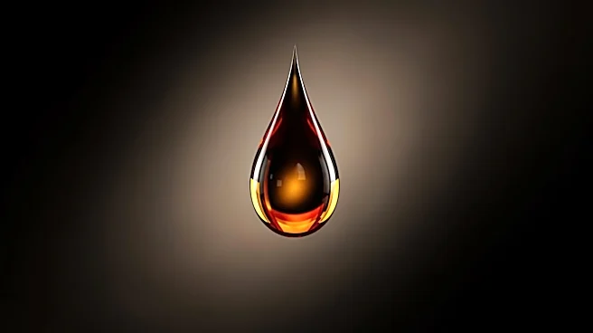 UAE's Exit from OPEC Signals Potential Shifts in Global Oil Market Dynamics