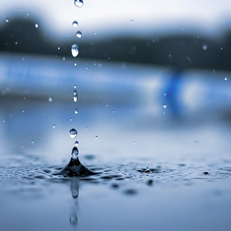 Philadelphia Region Braces for Rainy Weather Overnight into Thursday