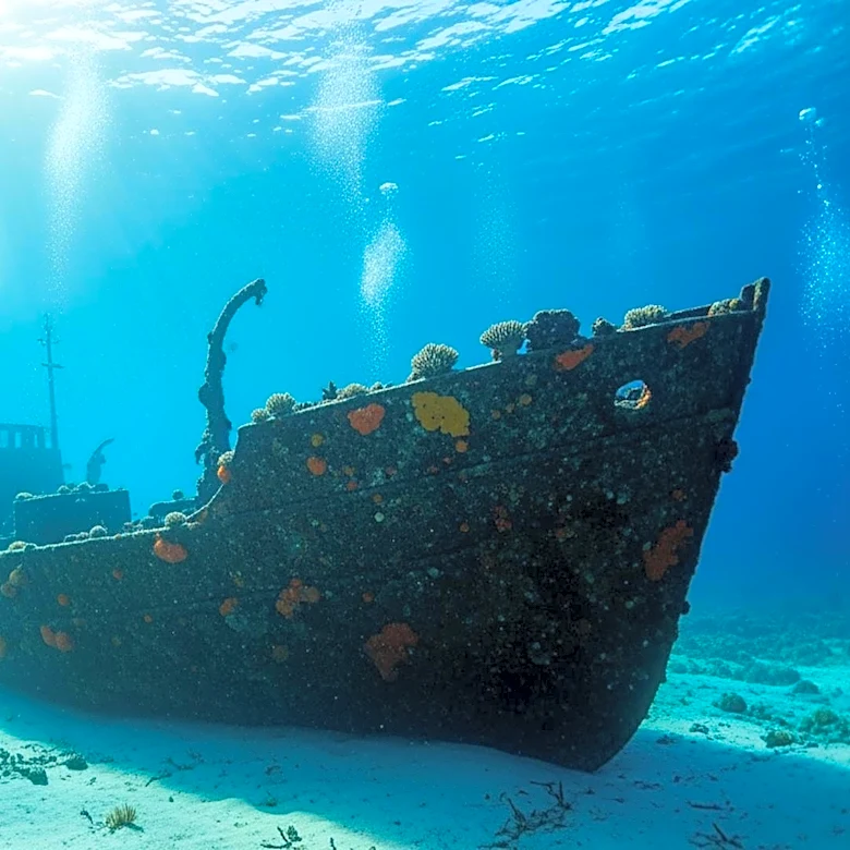 Wreck of US Coast Guard Cutter Tampa Found After 107 Years
