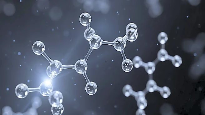 Research Highlights Metabolic Changes in HNSCC Tumors Affecting One-Carbon Metabolism