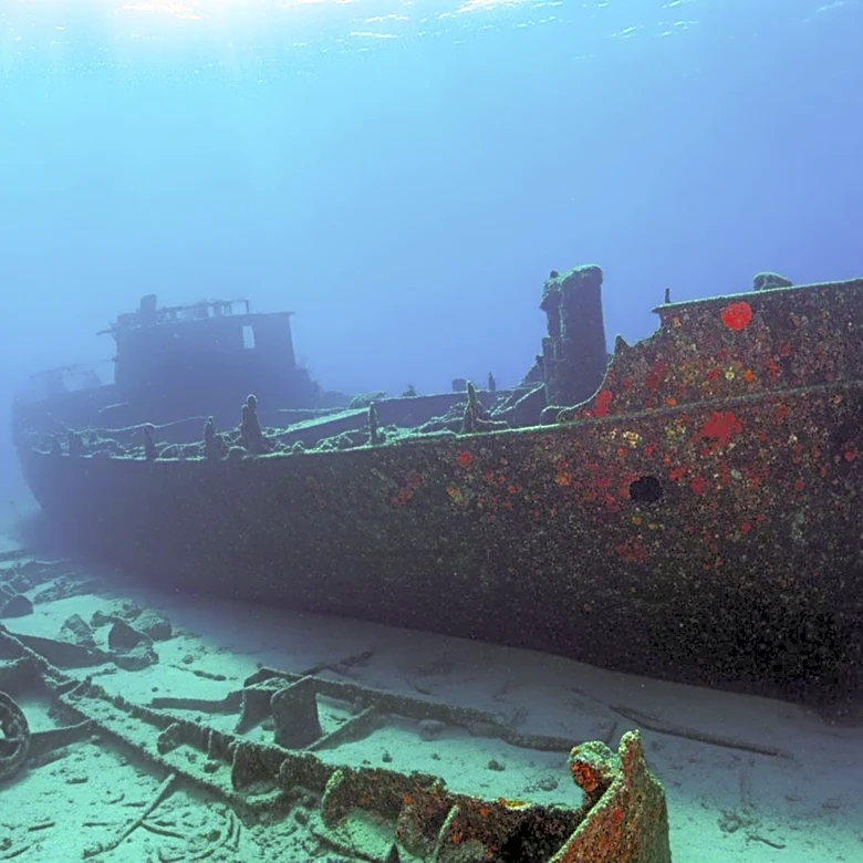Discovery of WWI U.S. Shipwreck Tampa Brings Closure to Historic Loss