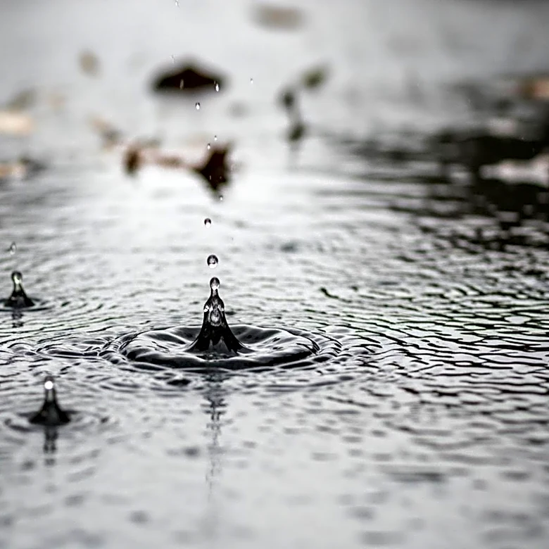 Heavy Rain in North Texas Raises Flood Risk for End of Week