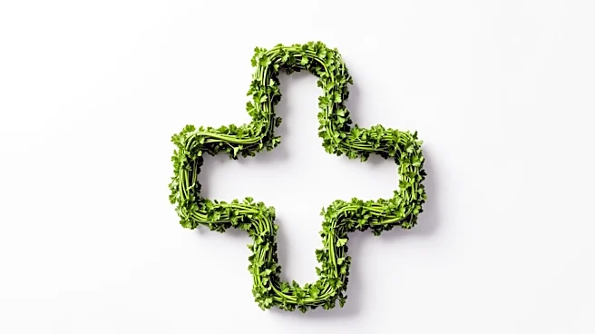 Parsley Health Expands Functional Medicine Coverage to 150 Million Americans