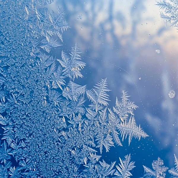 Frost and Freeze Warning Issued for Northern Counties
