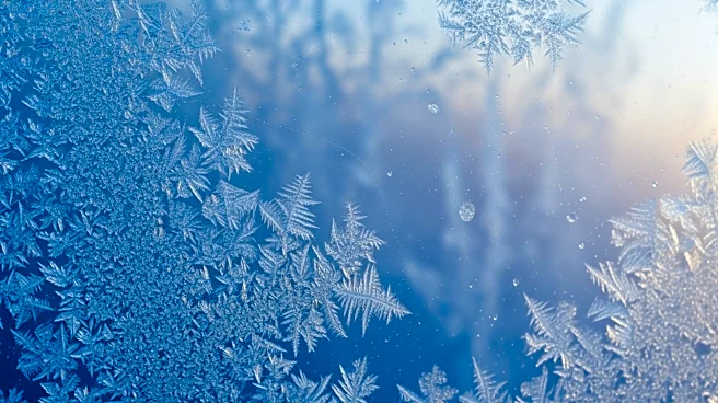 Frost and Freeze Warning Issued for Northern Counties