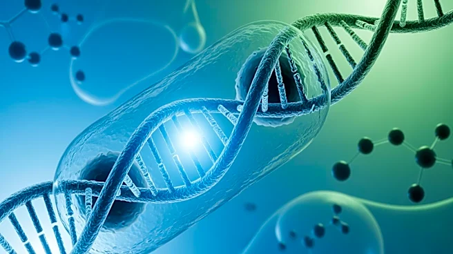 Advancements in Non-Viral DNA Integration in Human T Cells Highlight Potential for Cancer Therapy