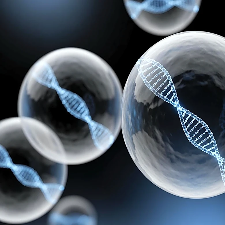 Weill Cornell Medicine Researchers Discover DNA-Containing Vesicles Boost Antitumor Responses