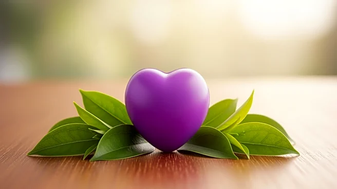 Minnesota Vikings Fan's Heart Donation Saves 6-Year-Old Child's Life