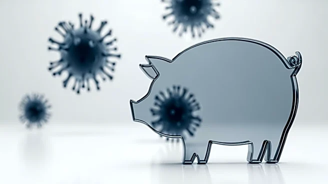 Pseudorabies Detected in Iowa Pig Facility, First Case Since 2004