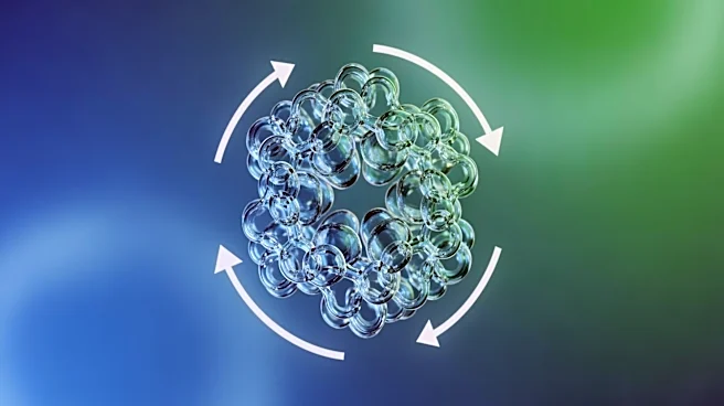 UCSD Researchers Discover Protein Recycling Key to Reversing T-Cell Exhaustion in Mice
