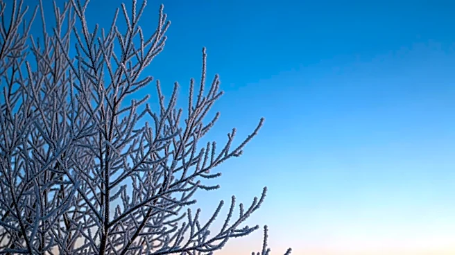Freeze Warning Issued for Tonight with Warmer Weather Expected by Monday