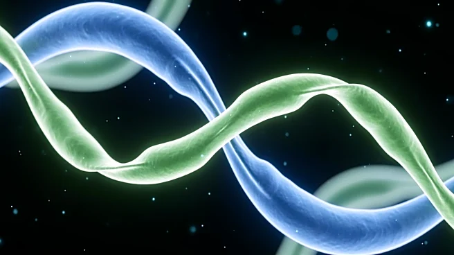 Israeli Researchers Discover Microbial Coordination Reduces Competition, Enhancing Coexistence