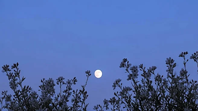 May's Flower Micromoon to Appear Extra Small, Followed by Rare Blue Moon