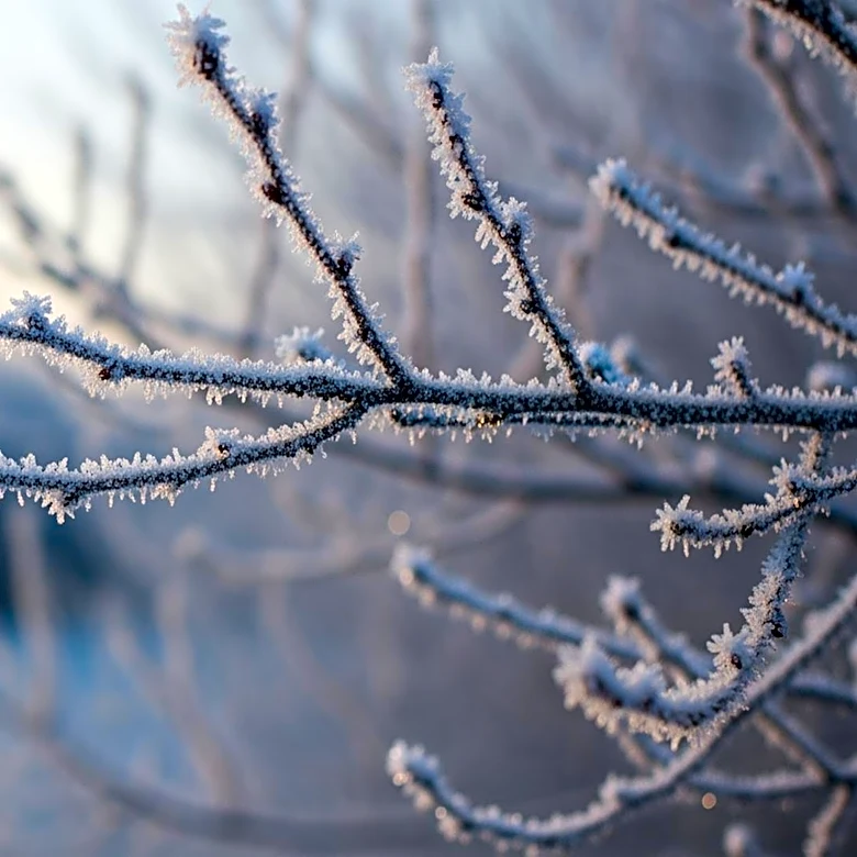 Pittsburgh Faces Unseasonably Cold Weather in Early May