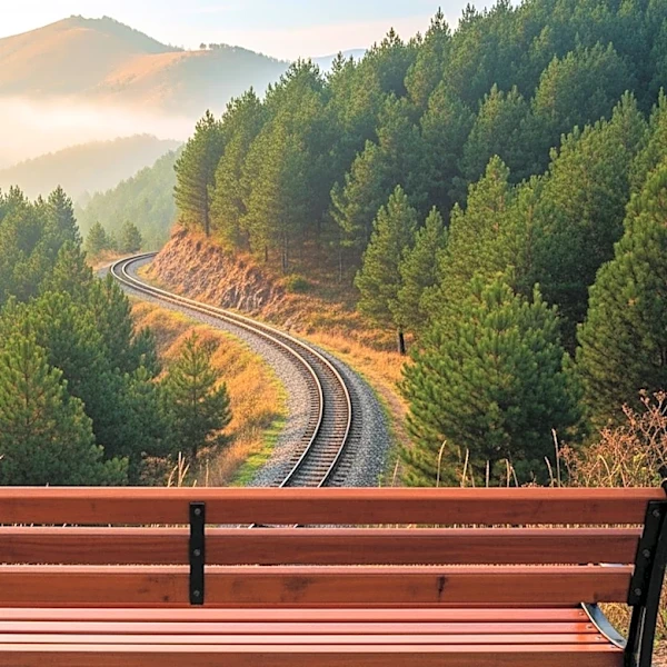 Arvada Community Engages in Discussion Over New Mountain Rail Stop