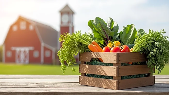 Rockwell Automation Partners with Feeding America Eastern Wisconsin and Fork Farms to Address Hunger with Clock Tower Farms