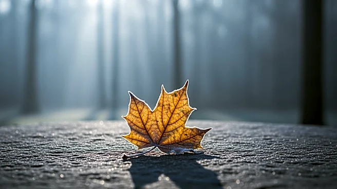 Cool Weather Expected Across Maryland This Weekend