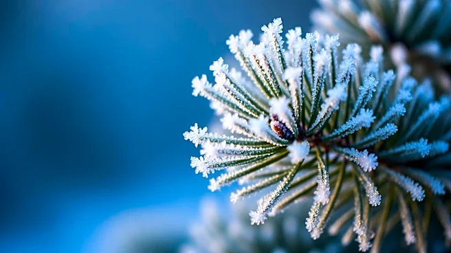 Minnesota Faces Freeze Warning as Temperatures Drop