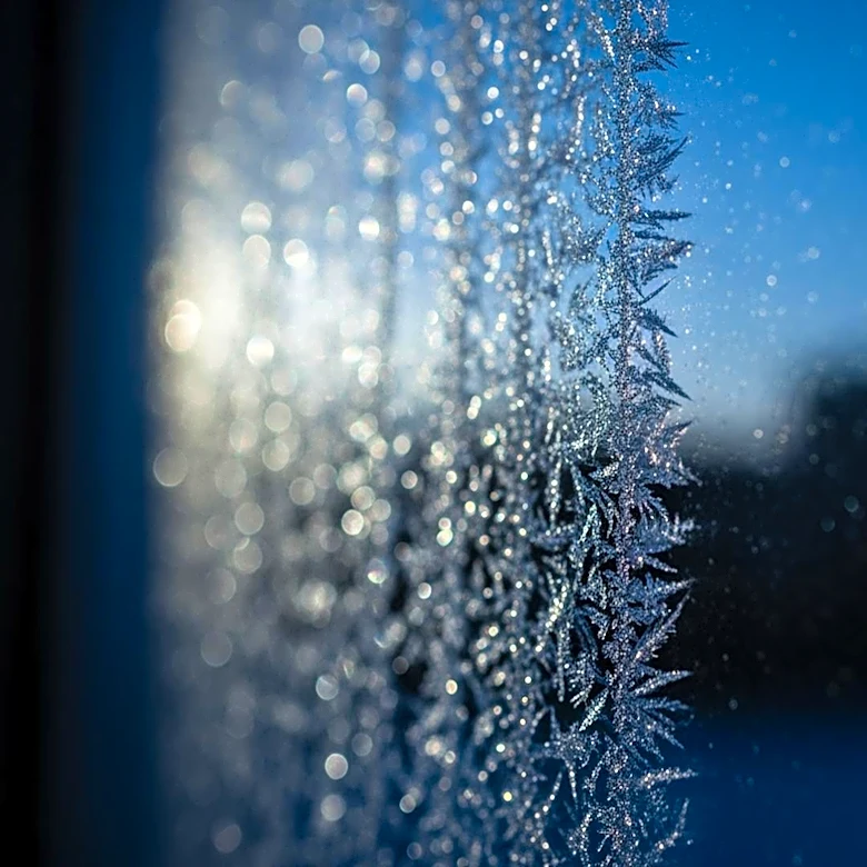 Chicago Faces Cold Night with Potential Frost Warning