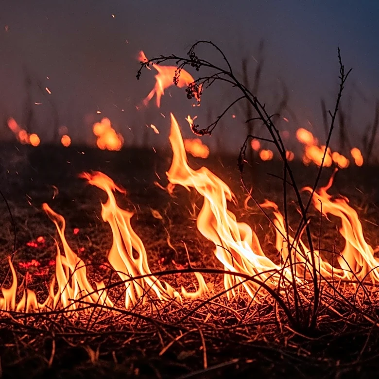 Fire Crews Combat Second Brush Fire in Redlands Area of Southwest Miami-Dade
