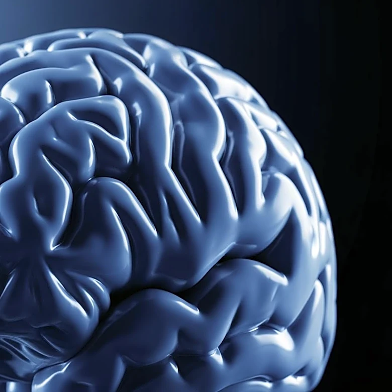 Study Links Psychopathy in Incarcerated Men to Expanded Brain Surface Area