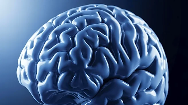 Study Links Psychopathy in Incarcerated Men to Expanded Brain Surface Area