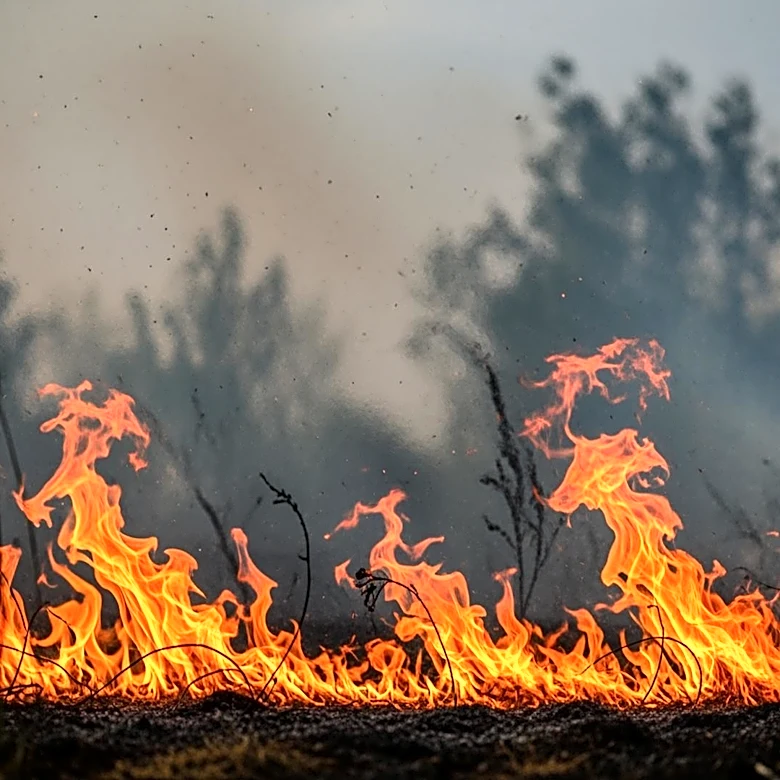 Fire Crews Battle Brush Fire in Southwest Miami-Dade's Redlands Area