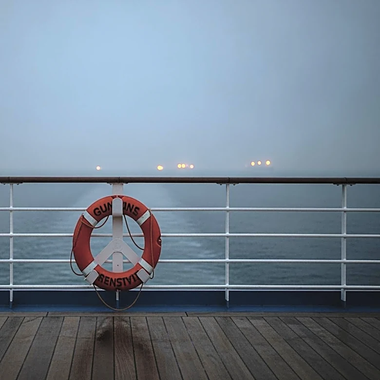 Suspected Hantavirus Outbreak on Cruise Ship Results in Three Deaths