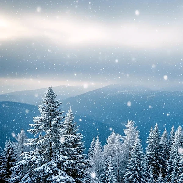 Denver Weather Update: Snow Accumulations Expected to Increase Midweek