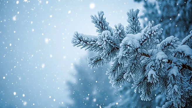Denver Weather Forecast Predicts Increased Snow Accumulations Midweek