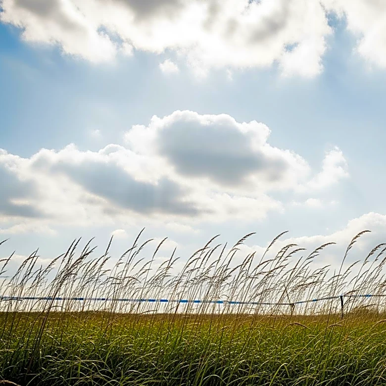 Minnesota Weather Forecast Predicts Partly Cloudy and Breezy Conditions