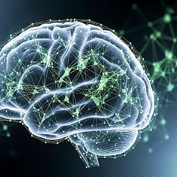 UVM Develops AI Tool to Enhance Parkinson's Disease Diagnosis