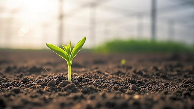 CultivAid CEO Tomer Malchi Awarded 2026 Charles Bronfman Prize for Agricultural Innovation