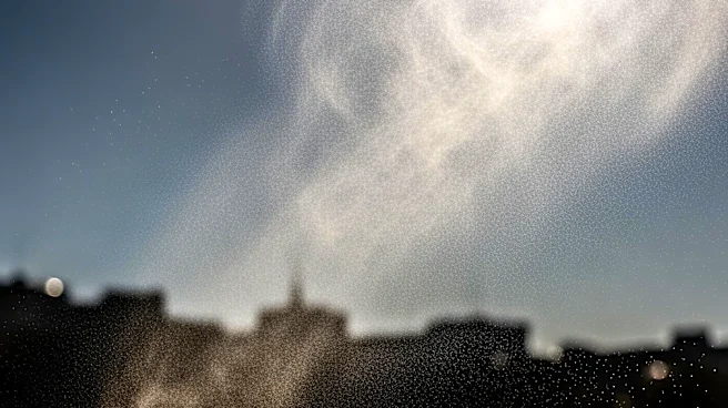 National Weather Service Issues Blowing Dust Advisory for Chicago Area