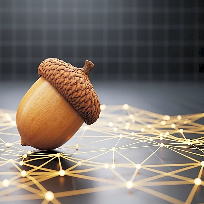 Acorn Launches Decentralized Community Platform as X Shuts Down Communities