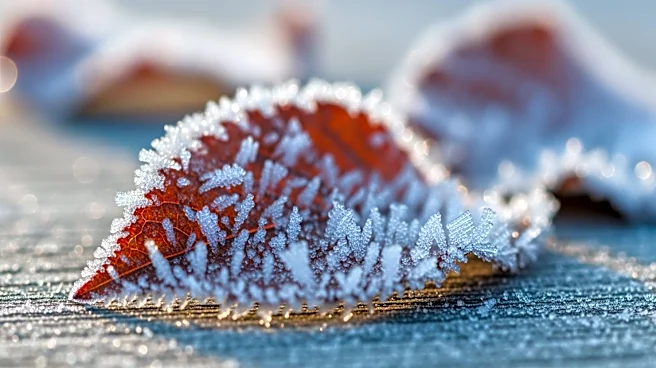 Minnesota Weather Forecast: Cooler Temperatures and Frost Expected