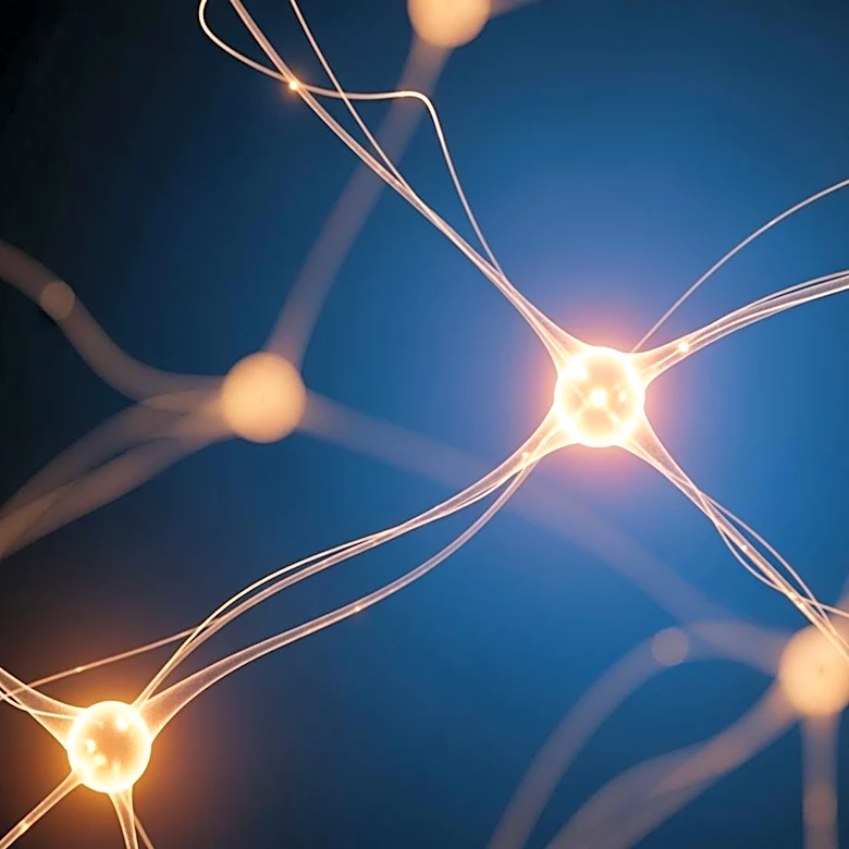 Study Reveals Dopamine's Role in Time Perception and Memory Formation