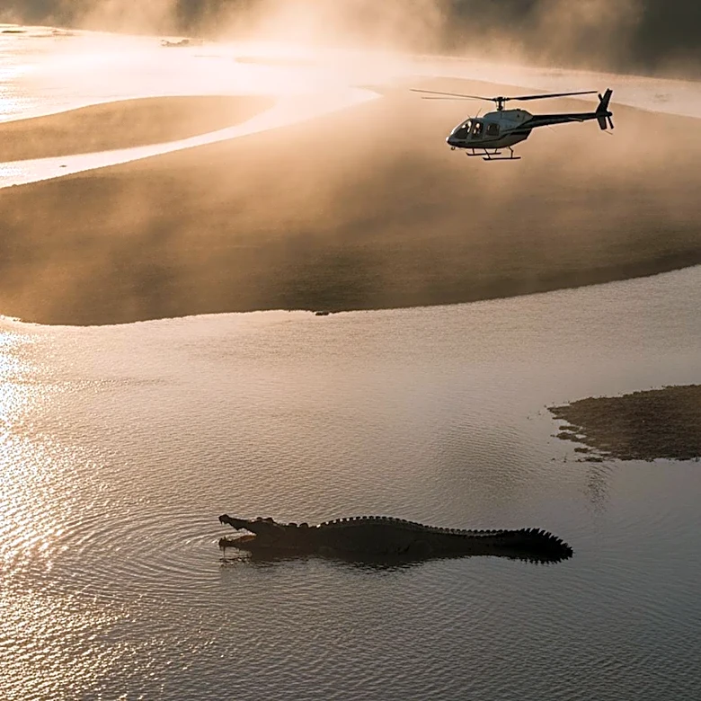 South African Police Airlift Crocodile Suspected of Consuming Missing Businessman