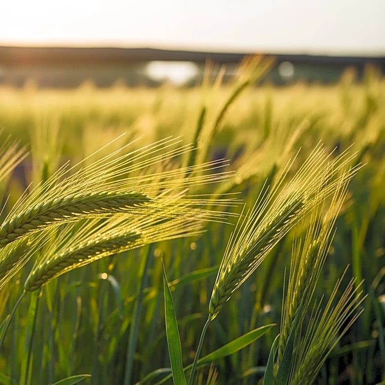 House Panel Advances Agriculture Funding Bill with Adjustments to USDA Support