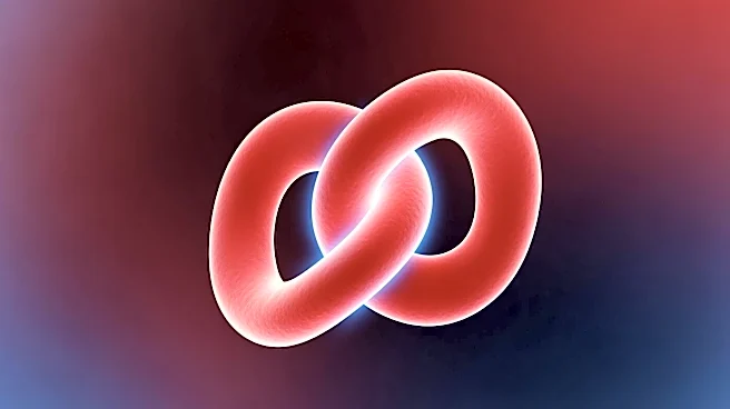 Feinstein Institutes Research Identifies Two Distinct Pathways in Severe Fetal Anemia, Suggesting New Treatments
