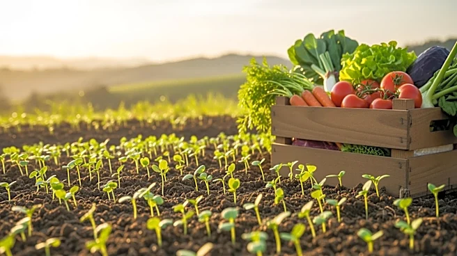 Bestseller Commits $3 Million to Regenerative Agriculture in South Africa's Eastern Cape