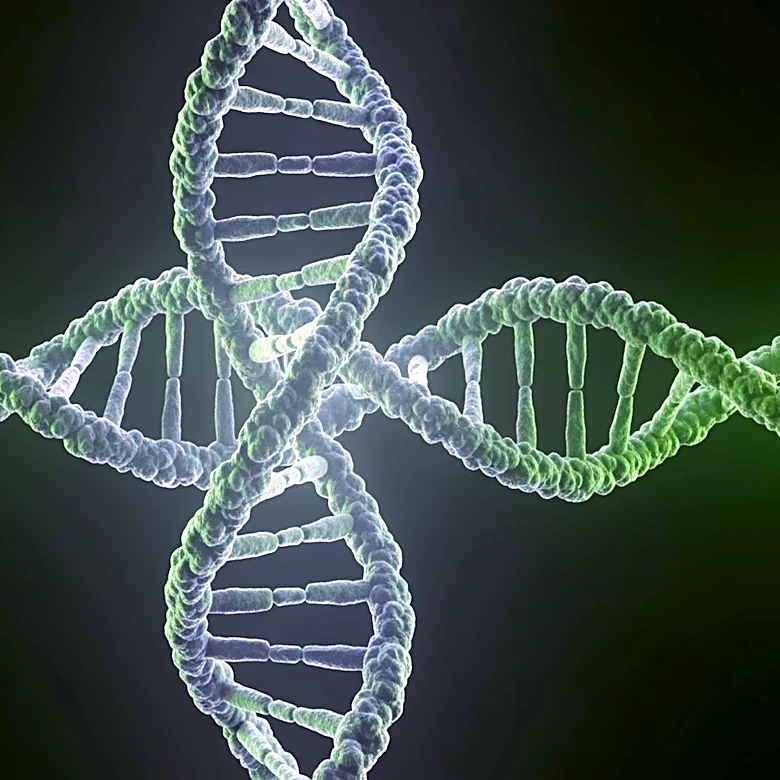 J. Craig Venter, Pioneer in Human Genome Sequencing, Dies at 79 in San Diego